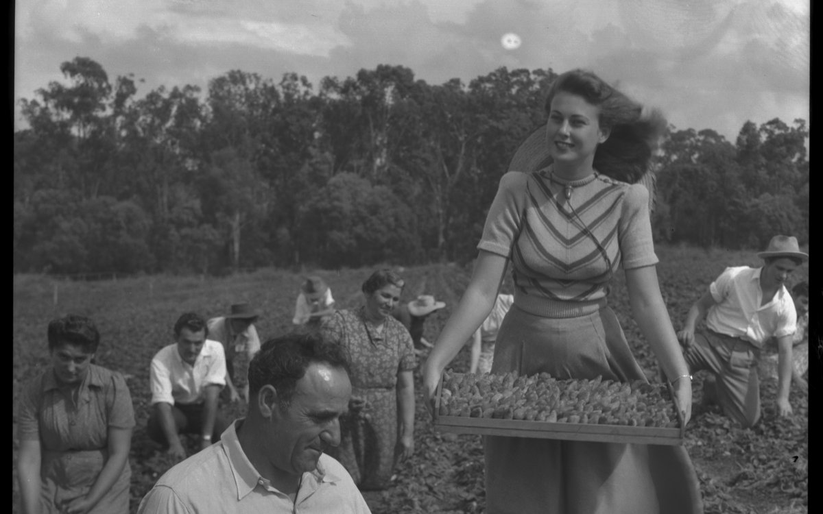 Image of a man sitting in the foreground. He is holding a box of strawberries, he is also surrounded by boxes of strawberries. A woman in a skirt and patterned top is approaching him carrying a box of strawberries. Behind them are several other people picking strawberries. They are outside in a field. Trees line the horizon.