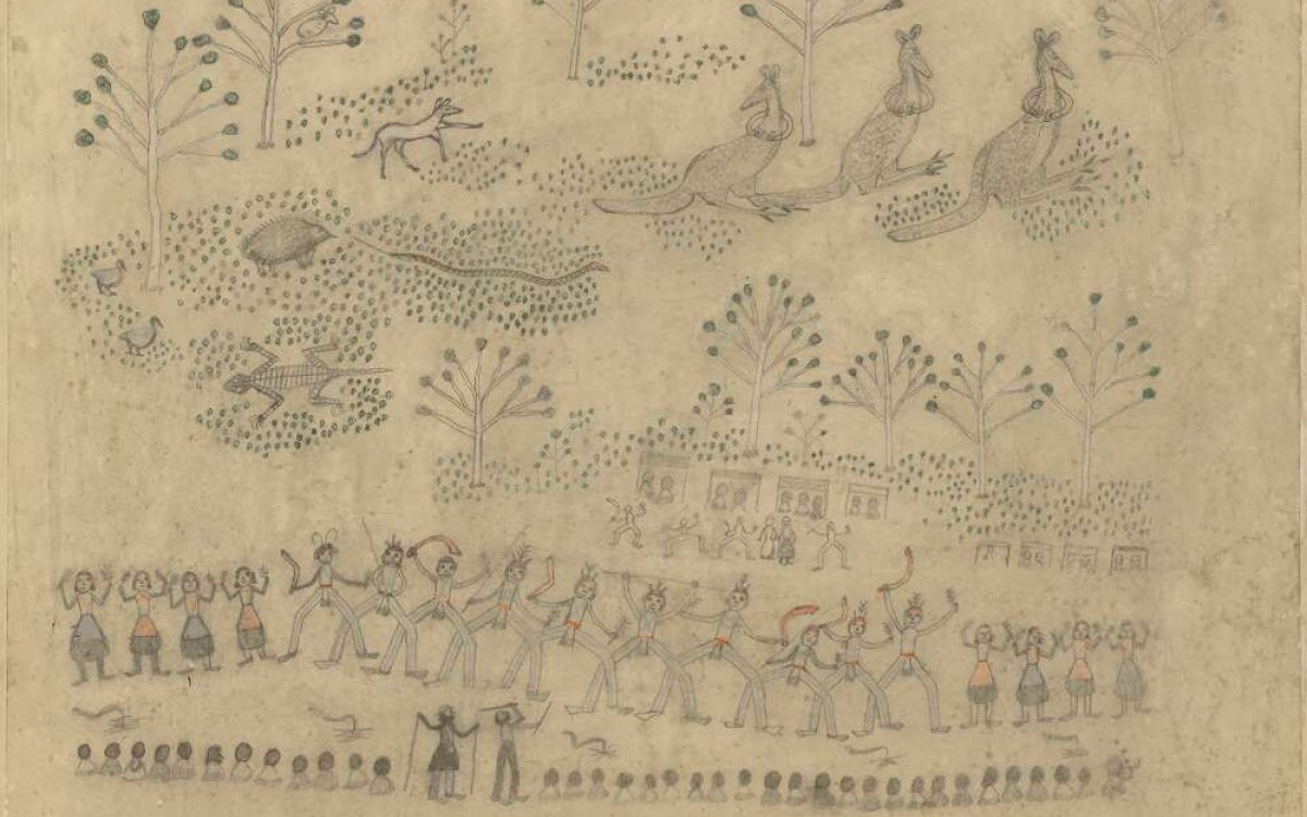 A series of simple drawings depicting people, animals and trees. A line of men and women in ceremonial dress and paint are lined up. The appear to be cheering or dancing. Watching them are another line of people with their backs to the viewer. Kangaroos, snakes and other Australian native animals watch on.