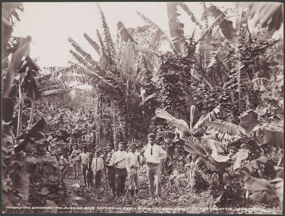 Sepia photograph of a group of young boys amidst wild overgrown foliage